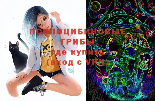 прущие крисы Верея