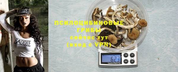 молекула духа Володарск