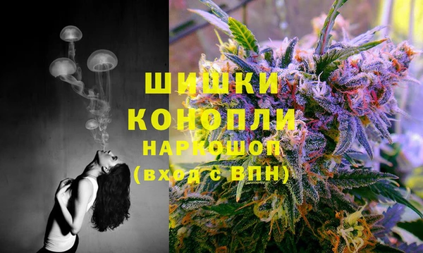 прущие крисы Верея